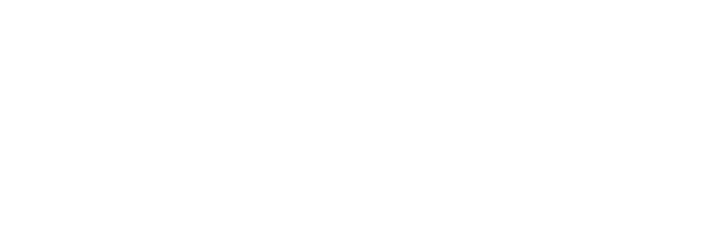 servizi stampa 2.0